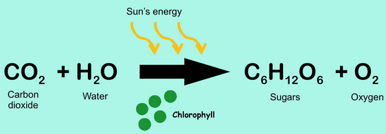 cho-equation-photo-sun-capture