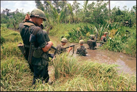 vietnam mekong delta jungle