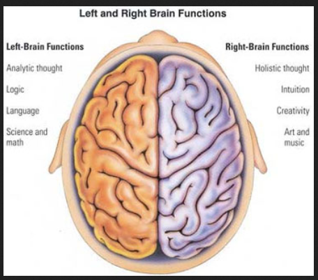 brain cole hall 2 parts