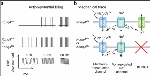 k channel firing sikh 6