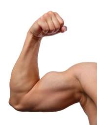 square root intellectual muscle umpqua