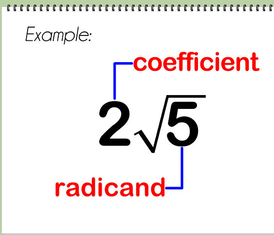 Sandy hook square root math radicals