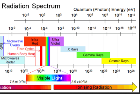 em radion ev tsarnaev