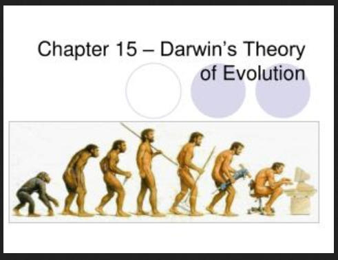 evolution april 15 boston