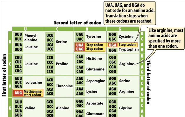 codon map lexington dna war umpg college shooting