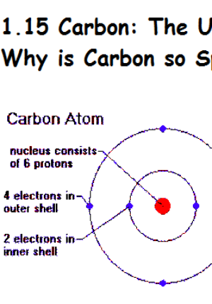 carbon%20atom%20%20%205